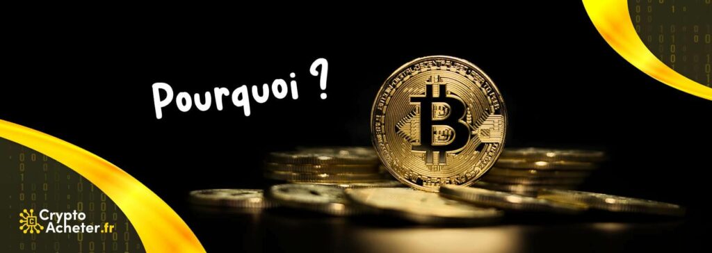 Pourquoi acheter le Bitcoin?